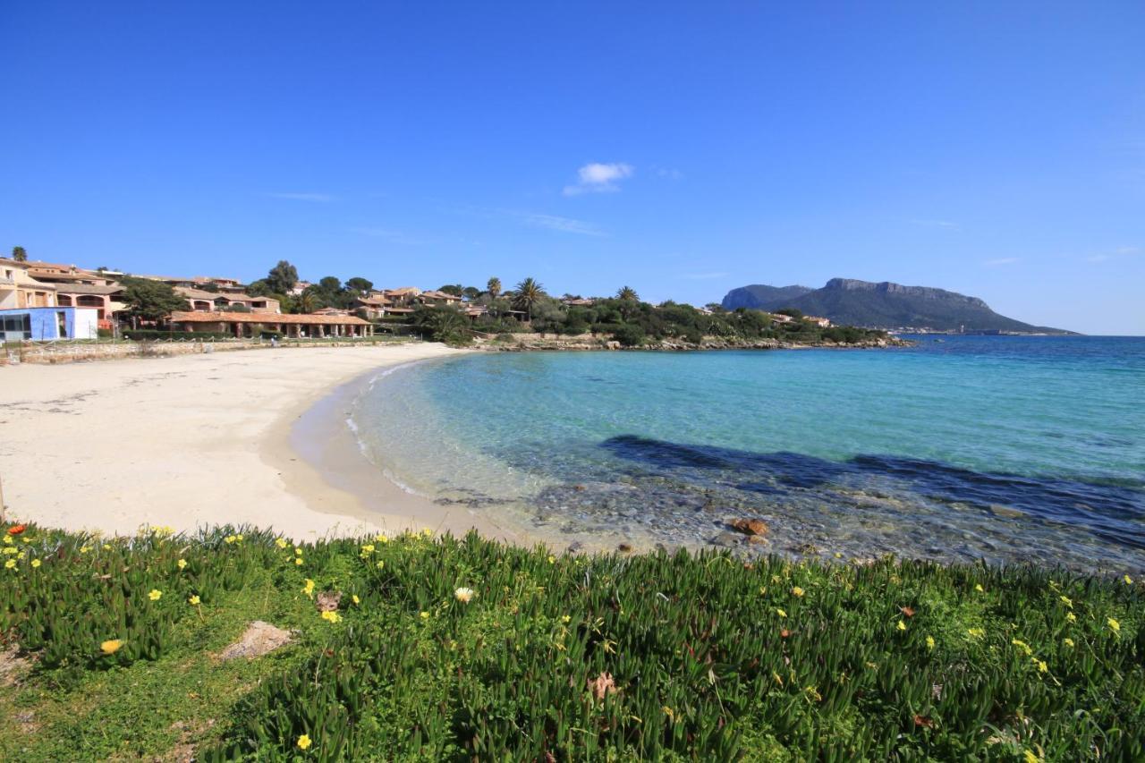 Le Case Del Golfo - Your House In Sardinia Golfo Aranci Exterior photo